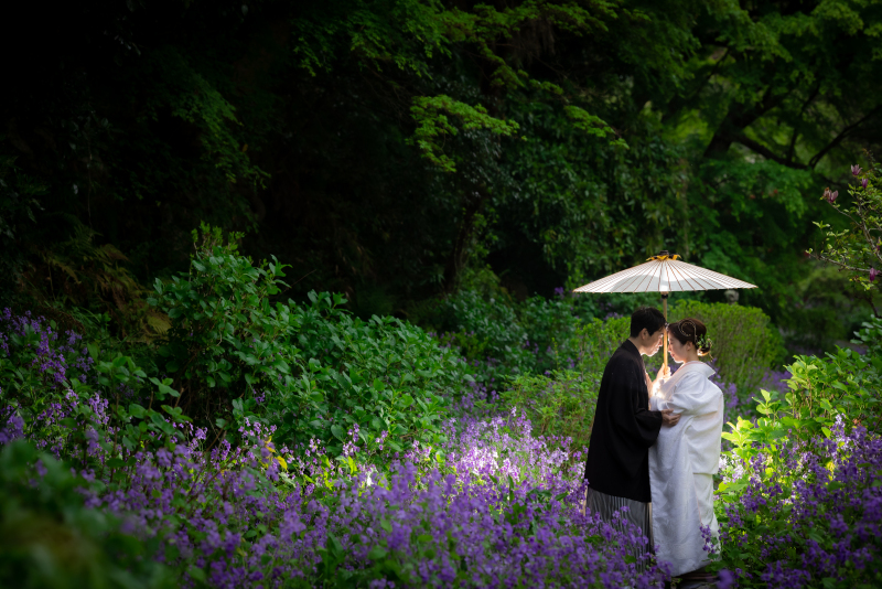【和装1着】八重桜♪4/11~4/24の撮影 鎌倉市内の寺院で撮影・衣裳差額無し・美容・撮影データ100カット