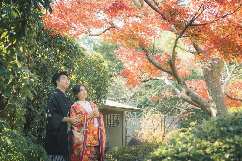 【和装1着】コスパ◎紅葉の季節11/25~12/15撮影★先着10組様 海が見える日本庭園で撮影 衣裳・美容・写真データ100枚