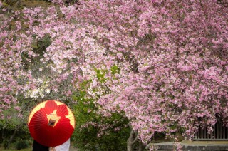 2月開催 撮影相談会のお知らせ