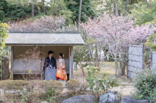 梅が咲く時期のお得なプラン♪