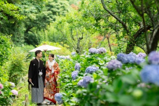 早割♪先着15組様★紫陽花が咲く時期の撮影プラン