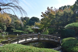 新ロケ地【日本庭園】で撮影　モニター募集