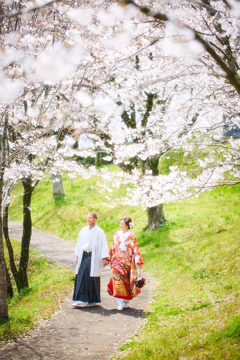 桜の中をお散歩