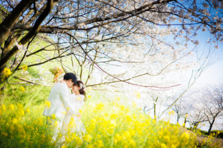 桜と菜の花と一緒に