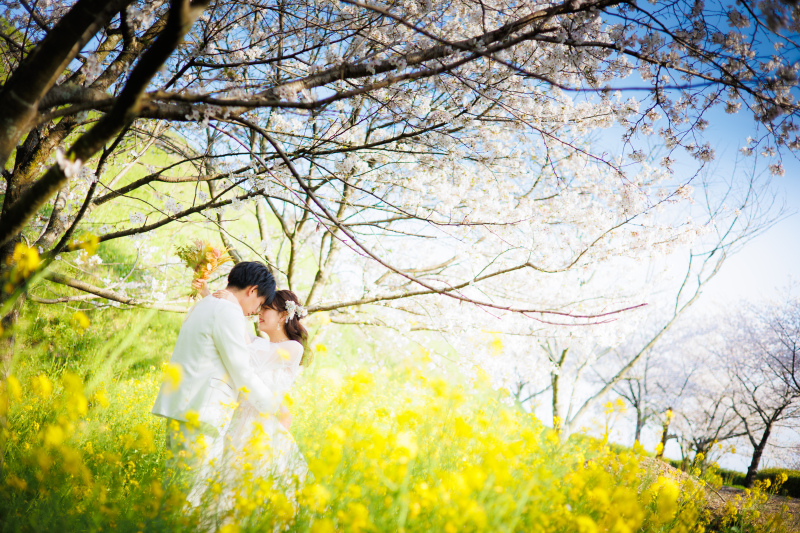桜と菜の花と一緒に