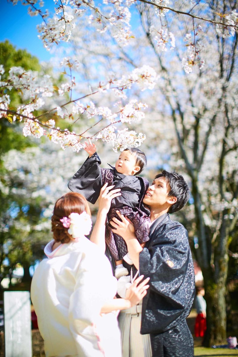 水前寺公園の桜ロケ