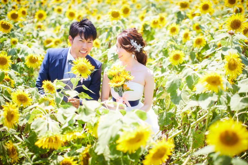 ひまわりに囲まれて☆