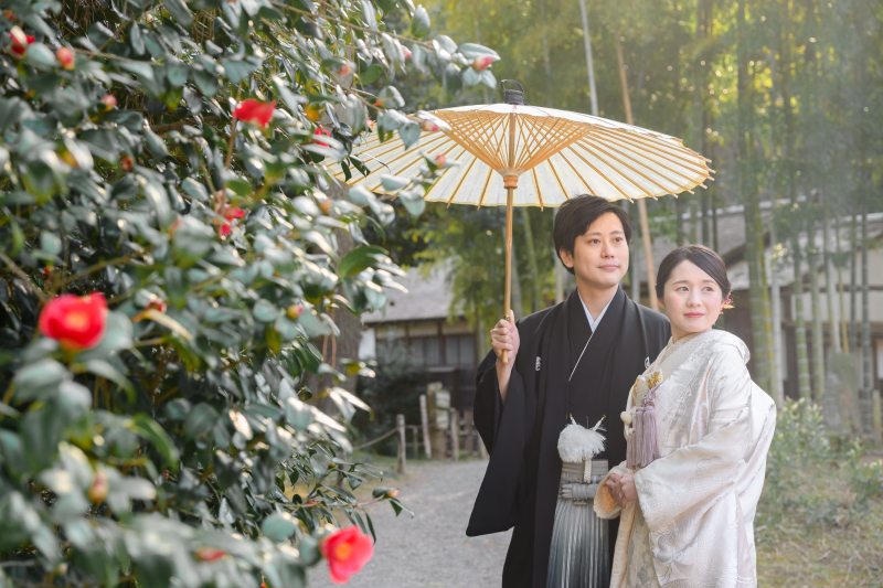 濃い緑と、椿が綺麗ですね!