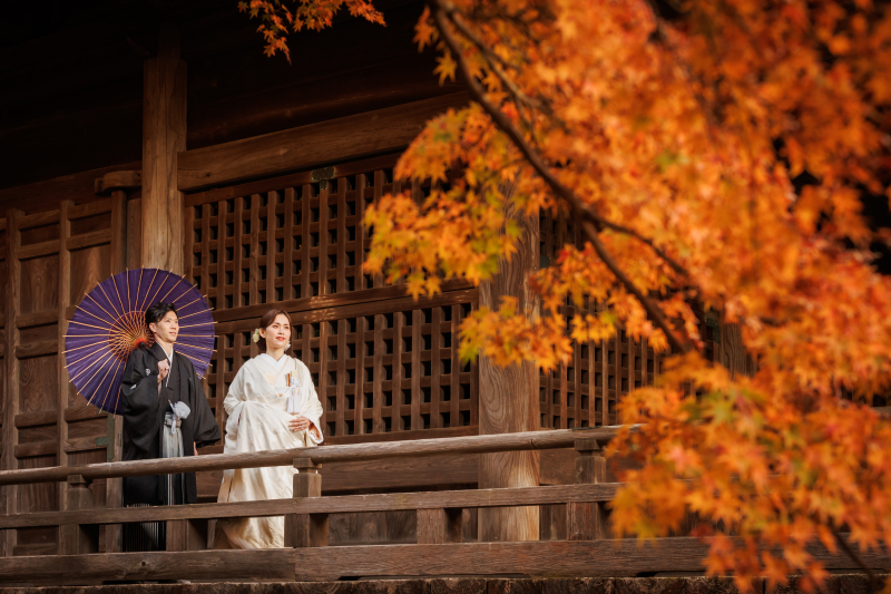 紅葉シーズンでの撮影をお考えの皆様へ!!