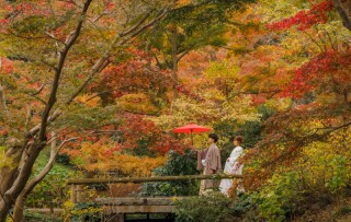 紅葉尽くしの撮影を行いました☆
