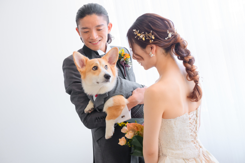 洋装でわんちゃんと一緒にスタート！