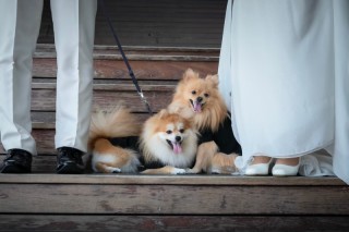 【鈴蘭＋海ロケプラン】洋装