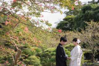 横浜で和装と洋装の2着撮影