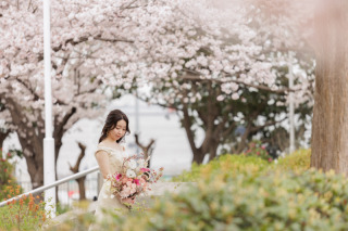 桜と撮影したいかたへおすすめ