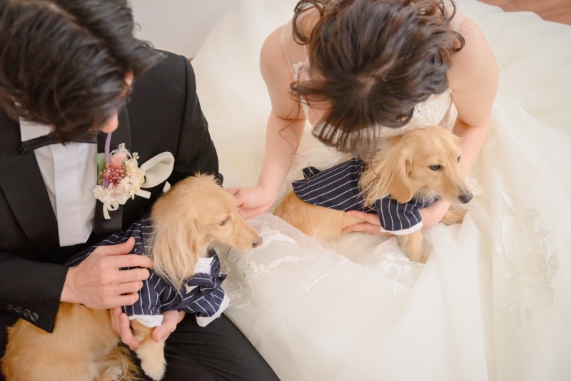 neeyU◇横浜元町ブライダルサロン_ペットと一緒に撮影できる