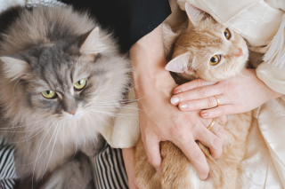 neeyU◇横浜元町ブライダルサロン