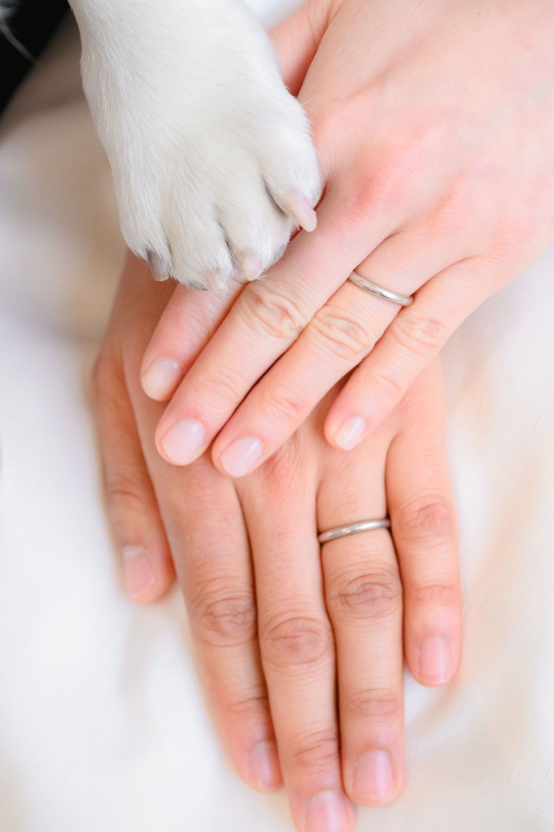 20以上ある撮影シーン