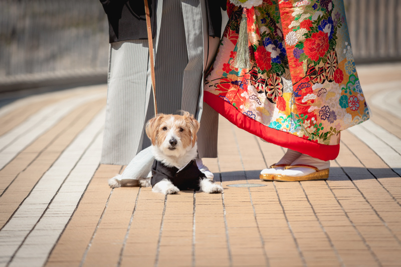 ▽12:50 お支度アップ→ご移動