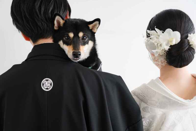 【neeyU最安値☆ペットもOK☆スタジオ撮影ワンダフルプラン】毎月先着5組限定✨ 和or洋どちらでもOK！データ50カット保証