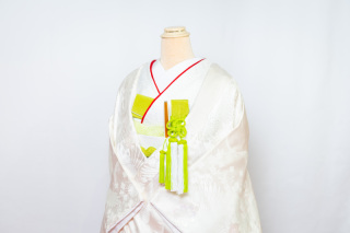 グリーン五点セット