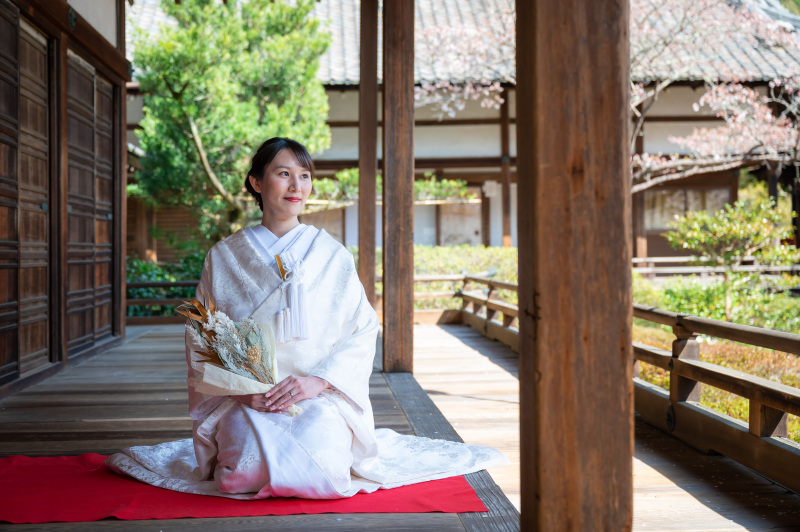 遠く桜も写っています。