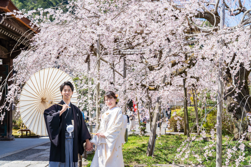 お天気にも恵まれて桜日和