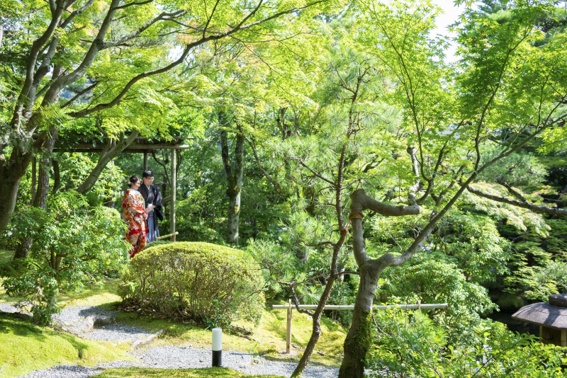 新緑キャンペーン