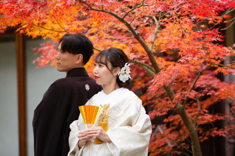 鮮やかな紅葉と共に