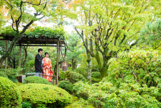 お庭を眺めながら