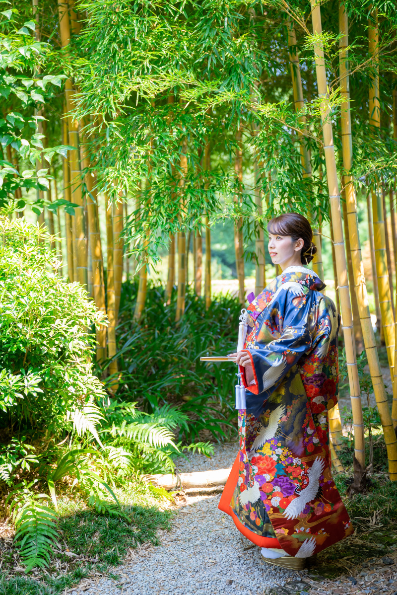 かぐや姫みたい