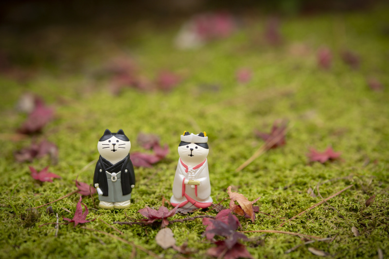 お持ち込みアイテム♡