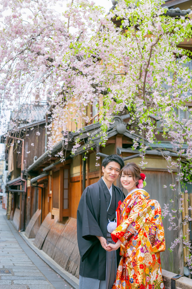 しだれ桜の下で