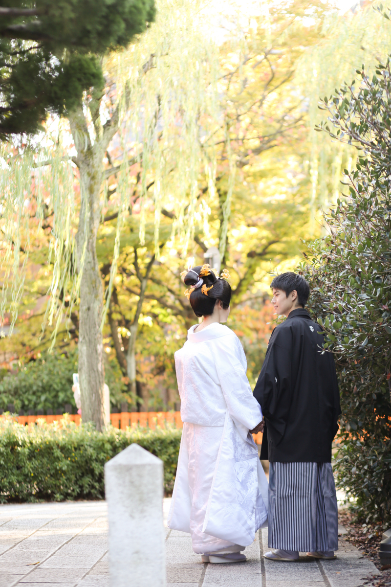 柔らかに光る柳の下で