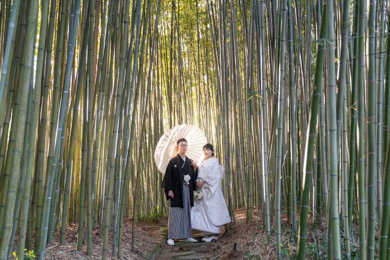 幻想的な光に包まれるお二人。