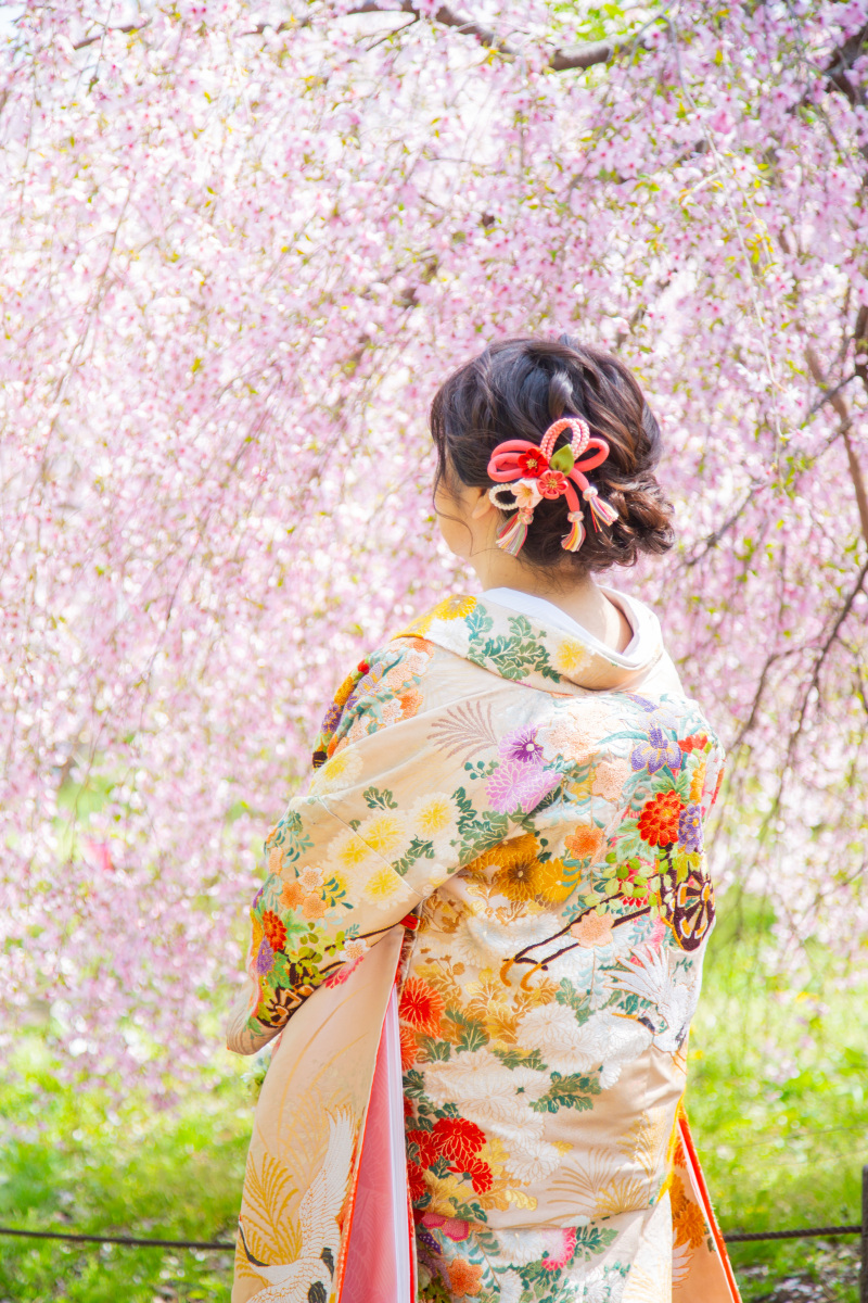 桜とピンクのお衣装でより華やかな印象に