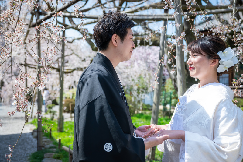 枝垂れ桜の下で