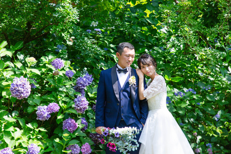 紫陽花に包まれて