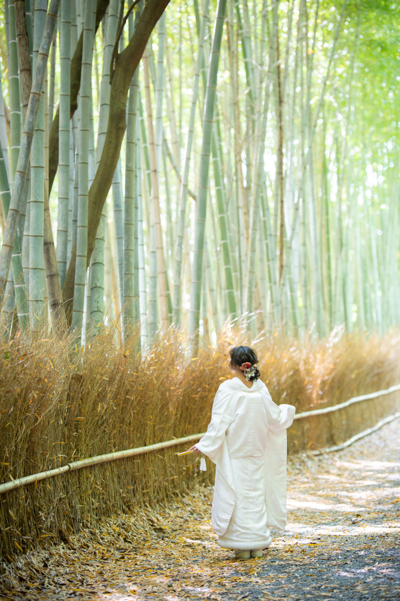 竹林の前で、、
