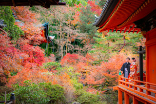 絵画のような・・・