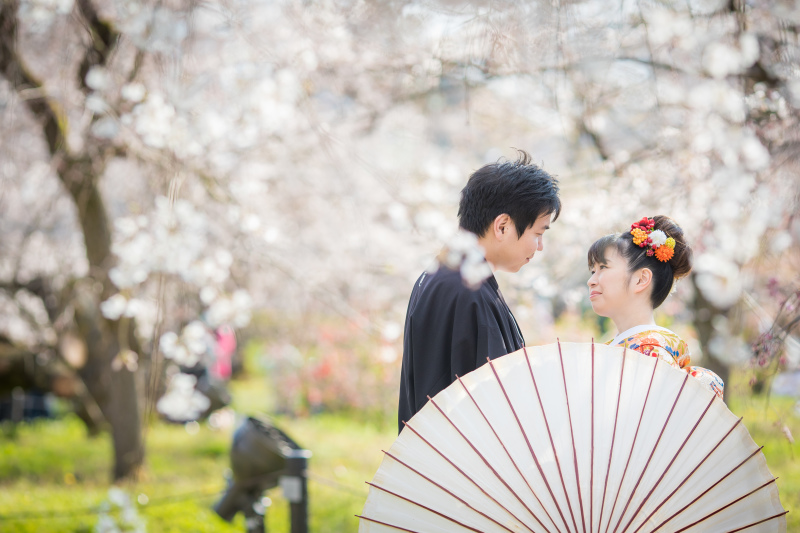 満開の桜の中で。