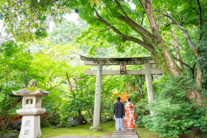 森の中のおすすめの場所