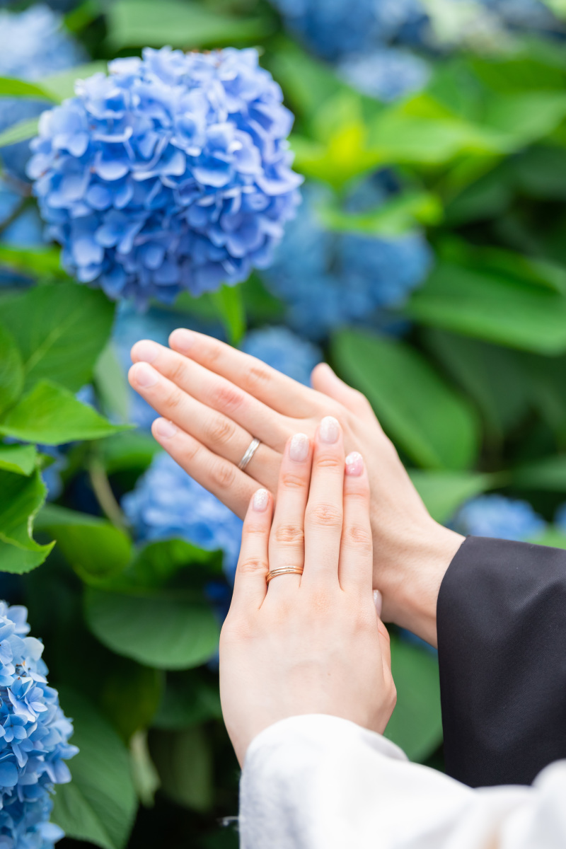 紫陽花の手元ショット(^^)