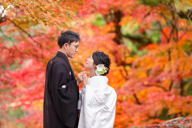 紅葉シーズン撮影