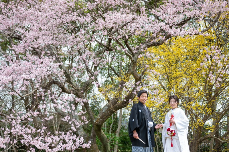 鮮やかな花に囲まれて