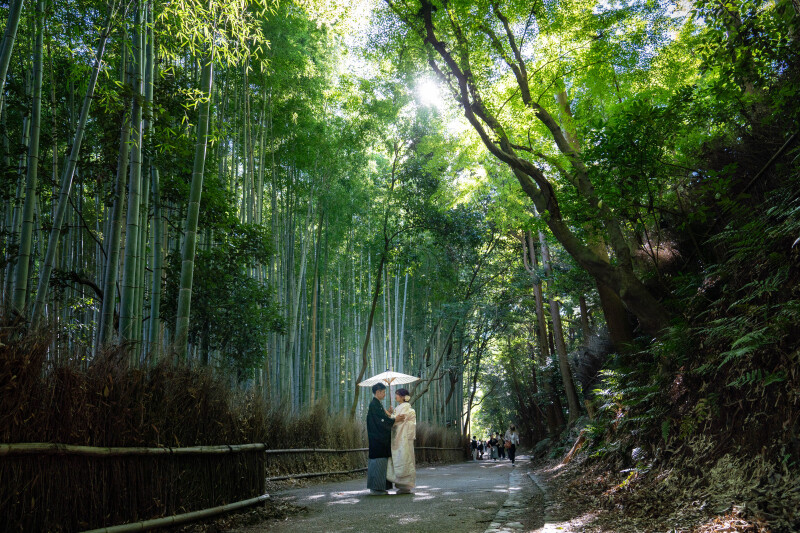 周りの景色をふんだんに取り入れて幻想的な1枚