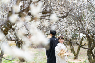 春の訪れに心躍る