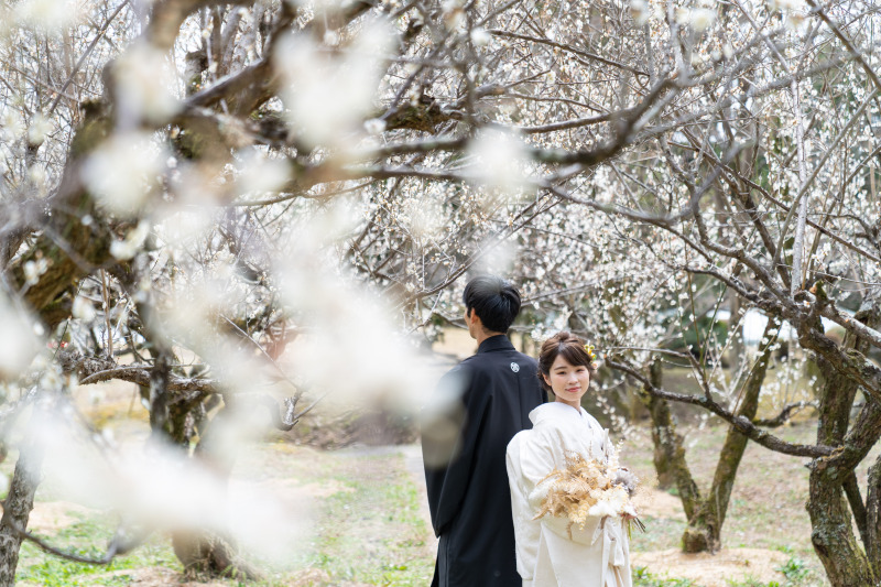 春の訪れに心躍る