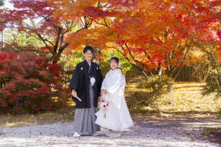 【祇園＆茶室と庭】紅葉と共に２ヶ所ロケ