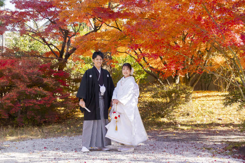 【祇園＆茶室と庭】紅葉と共に２ヶ所ロケ