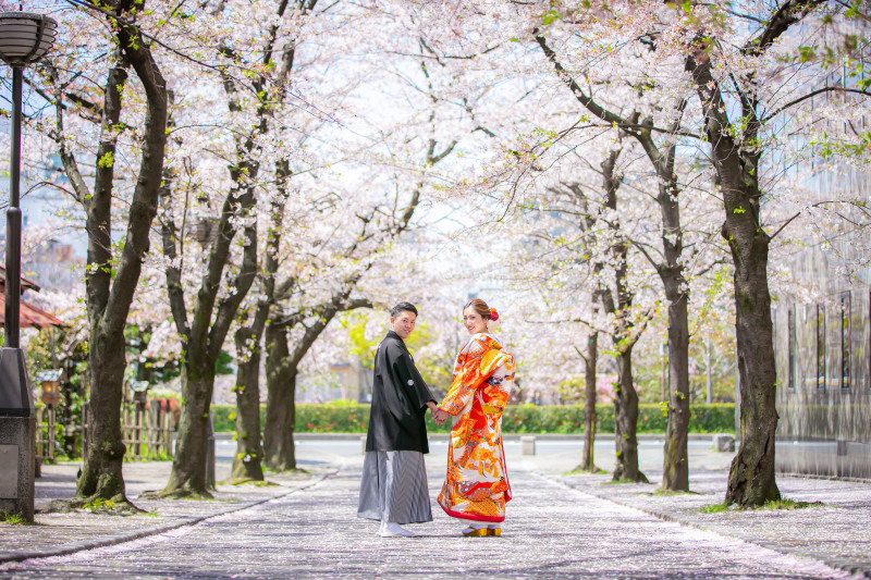 桜の季節です⋈